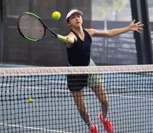 胜数的荣誉 胜数的荣誉